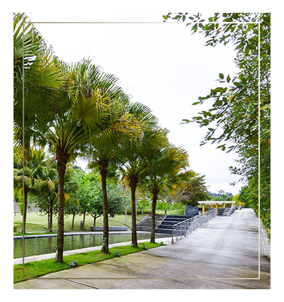 Sierra Hijauan Jogging Track