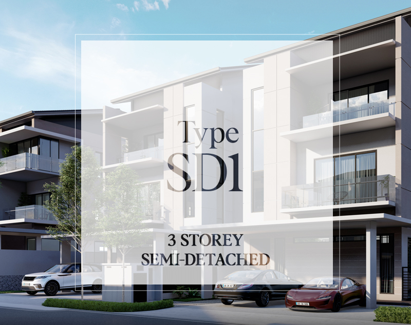 Sierra Hijauan - Type SD1
